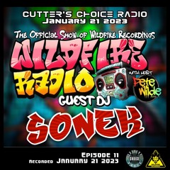 Wildfire Radio Show #11 (Guest DJ Sonek)