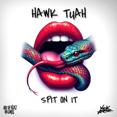 HAWK TUAH