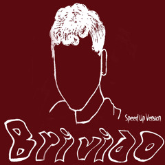 Brivido (speed up version)