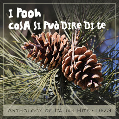 Cosa si può dire di te (Anthology of Italian Hits 1973)