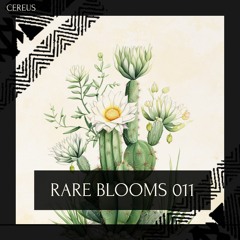 Cereus - Rare Blooms 011