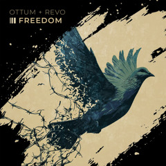 Freedom (Radio Edit)