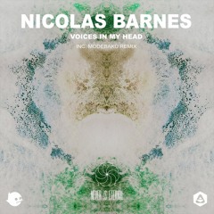 💥 premiere: Nicolas Barnes - Voices In My Head [Never Is Eternal]