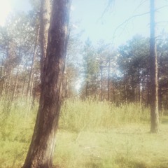 Valul Doi (2) - DB (dragi boscheți) MIX