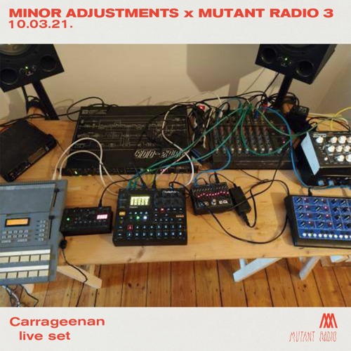 Carrageenan [Live] [Minor Adjustments Show]
