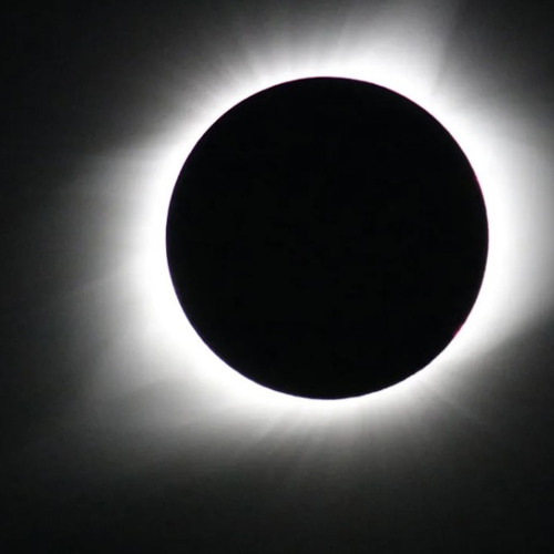 CODE B\W LOBSTERs- LONGEST NIGHT ON EARTH 211224