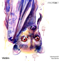 Victim - Elektron (Out now! Check Info: ALL PROCEEDS WILL BE DONATED)