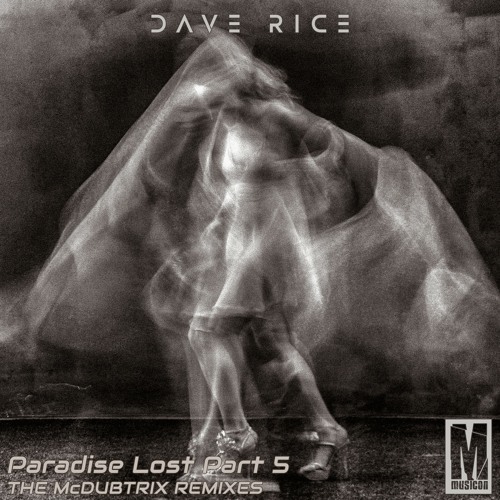 Dave Rice - C'Mon & Take Me (McDubtrix Remix)