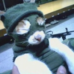 trxgyc x drez - 4$hit