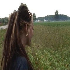 @ibis burger w fries prod bitbby