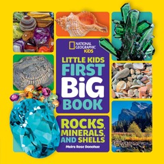 ⭐[PDF]⚡ National Geographic Little Kids First Big Book of Rocks, Miner