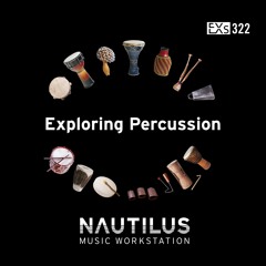 Percussion Dry/Amb Kn1/2 - 1