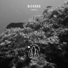 Premiere: Bichord - Suburban [Wild Drone Music]