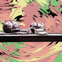 *Slowed to Perfection* Micah John: "These The Things"