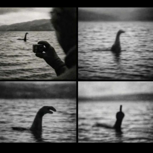 "Triton" feat Netsky TG mojo