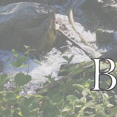 Exercises in Ambience: Bodice