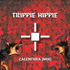 CALENTURA [MIX]