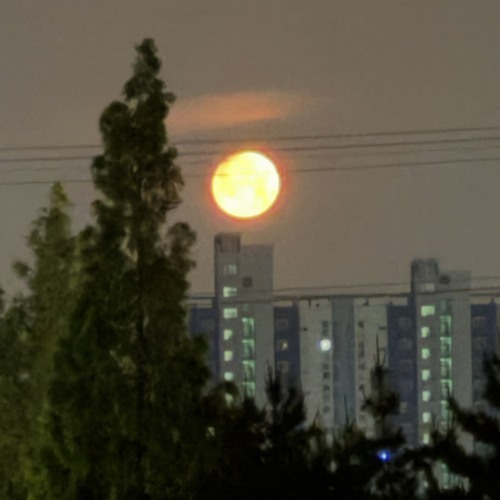 엄