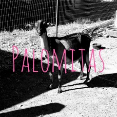 DAYS / PALOMITAS