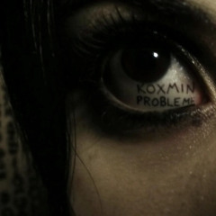 probleme