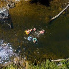 Ryan Sargent (LIVE) @ BLOC Festival 2023, VIC