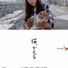 「猫、嫌い？」 映画『 猫、かえる Cat's Home 』より