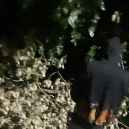 Kiddsupream - Snakes! (prod. _Swerve_)