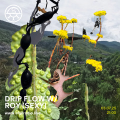 drip flow w/ roy (sexy) - July 2025 - Sigil Radio