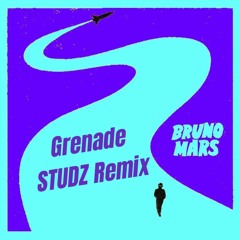 Bruno Mars - Grenade (STUDZ Remix)