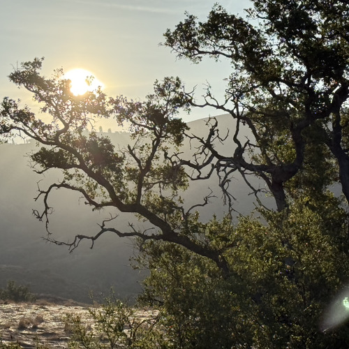 Zachshots - Unreleased Song (Live)