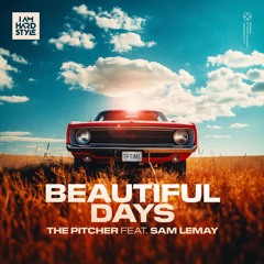 The Pitcher - Beautiful Days (feat. Sam LeMay)