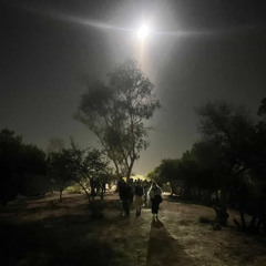 lincoln / cypress (from upcoming "subway trax")