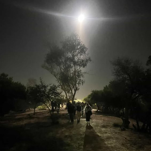 lincoln / cypress (from upcoming "subway trax")