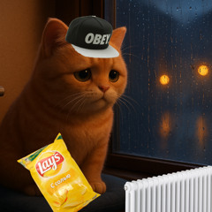 nyan.mp3 - У батарей (mylancore remix) [prod. by sqdf4nky]