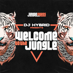 Gallist (DJ Hybrid Remix)