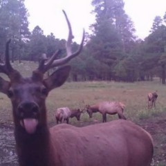 Untitled - 10:11:18, 11.20