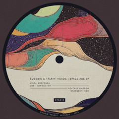 PREMIERE: Eusebiu & Talkin' Heads - Reverse Shadow [DTR015]
