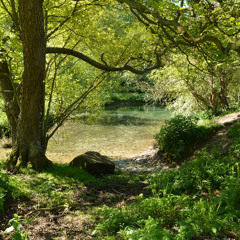 Down To The River To Pray