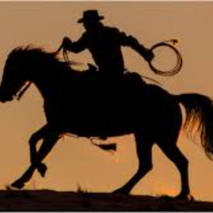 Wild West Zappin' G.B.CREATIONZ