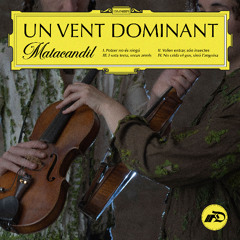Matacandil - Volen entrar, són insectes