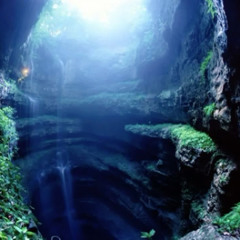 비취의 기억