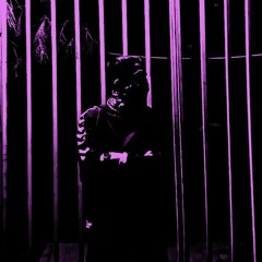 Fariborz MP x Dani Brayen - Gang style (Extended Mix)