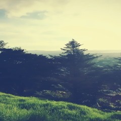 Michael Ashe - Acoustic Delays (Original Mix)