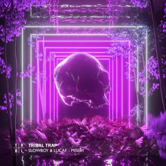 Slowboy & lucaf. - ily