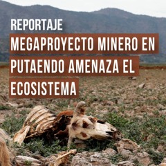 Megaproyecto minero en Putaendo amenaza el ecosistema