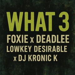 WHAT 3 (Lowkey Desirable x DJ Kronic K ft. Foxie & Don Deadlee)