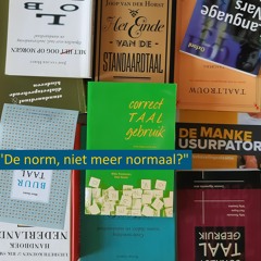 De norm, niet meer normaal # 1