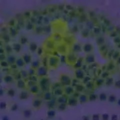 glitchout