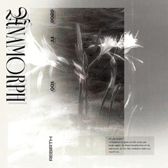 ANAMORPH - REBIRTH I 001