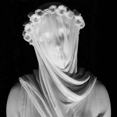 The Veil